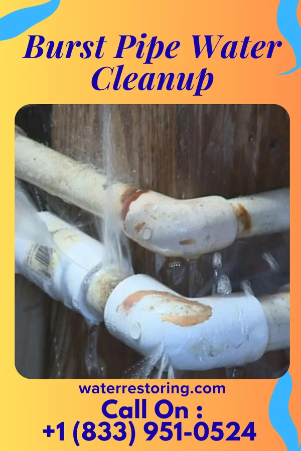 Burst Pipe Water Cleanup in Chesterfield, IN
