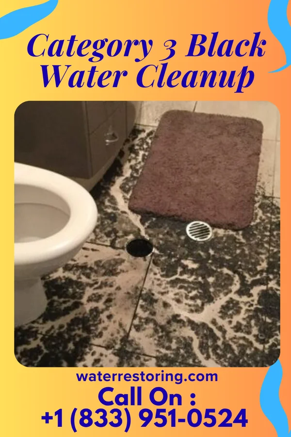 Category 3 Black Water Cleanup in Chesterfield, IN