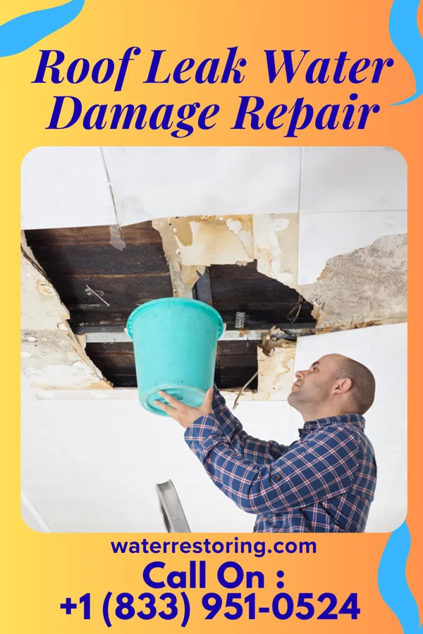 Roof Leak Water Damage Repair in Chesterfield, IN