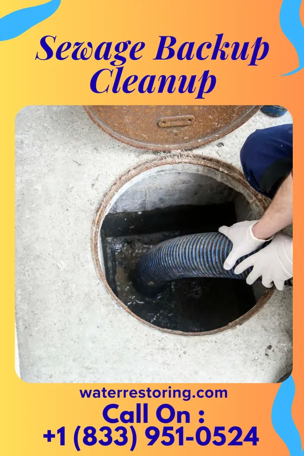 Sewage Backup Cleanup in Chesterfield, IN